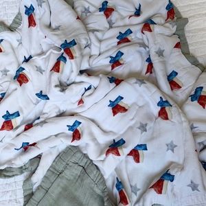 Texas Bamboo Baby Quilt